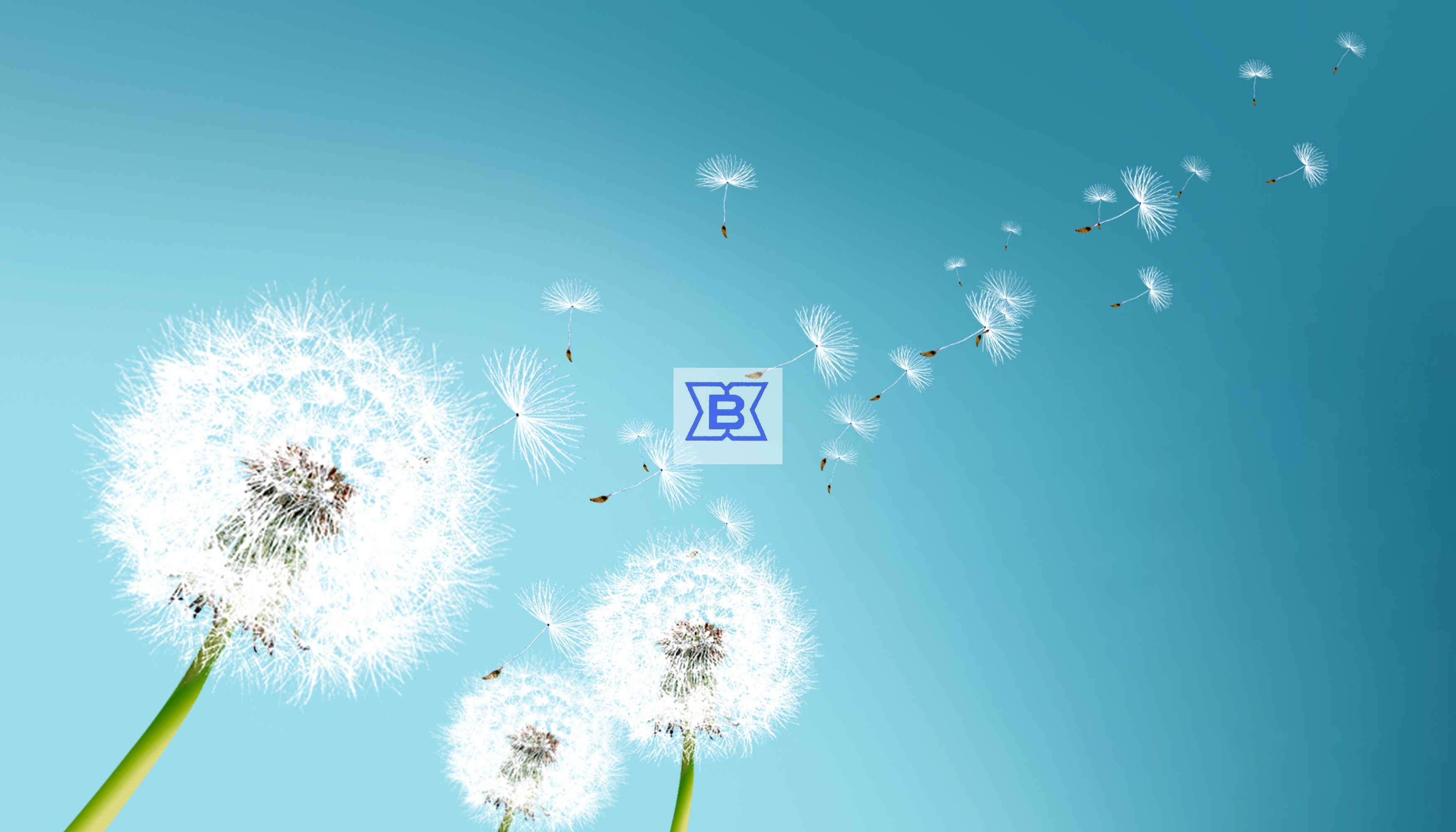 腾博汇游戏官网·(中国)专业效劳,诚信为本